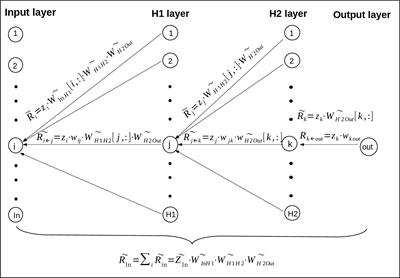Machine learning of flow cytometry data reveals the delayed innate immune responses correlate with the severity of COVID-19